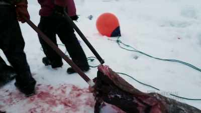 DANIEL: Makes me happy that
they come down and get a share - Life Below Zero: First Alaskans