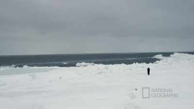 DANIEL: Our weather is, uh, - Life Below Zero: First Alaskans