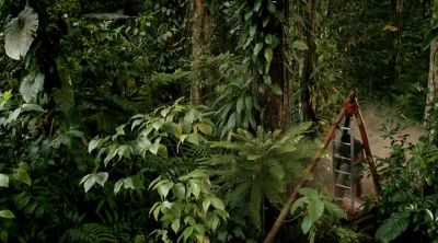 Daniel! - Death in Paradise