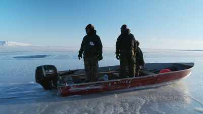 DANIEL: So far we've only
seen walrus in the water, - Life Below Zero: First Alaskans
