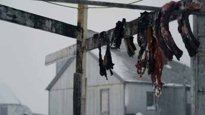 DANIEL: We're lucky to be on
an island where we can catch - Life Below Zero: First Alaskans
