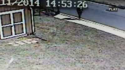 Danielle was seen
walking toward the creek. - Final Moments