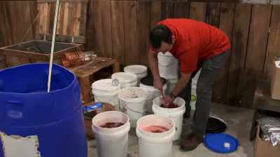 Daniel's got enough buckets
here to float down
a barge. - Moonshiners: Master Distiller