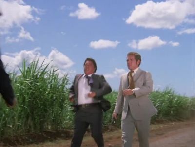 DANNO, YOU TAKE ONE SIDE.
KONO, THE OTHER. - Hawaii Five-0