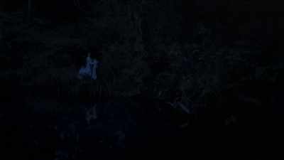 Danny. Oh, God. No, Danny! - La Llorona