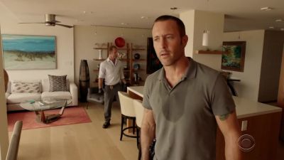 Danny. - Hawaii Five-0