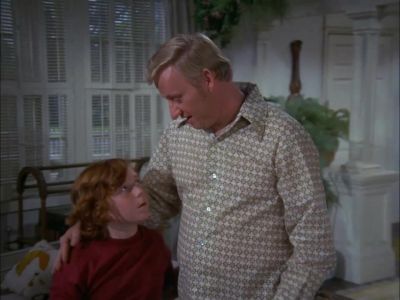 Danny - The Partridge Family