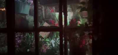 Danny's Flowers... so nice. - Chup