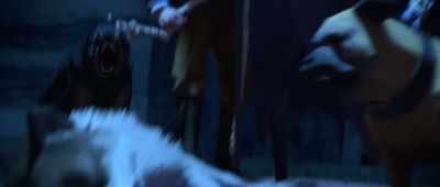 Daphne, I think I know when and
when not to booby-trap a doorway. - White Fang