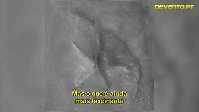 Dar ceea ce este și mai
fascinant decât asta, - The Cosmic Secret