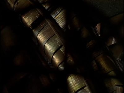 D'Argo, I think it's picked up
a scent or something. - Farscape