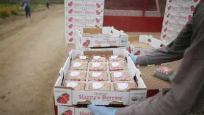 [Dariany] So as a future
strawberry grower, - What Am I Eating? With Zooey Deschanel