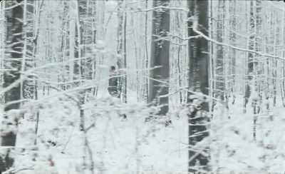 - Dark and aggressive?
- Yeah. You are dark sometimes. - Winter Brothers