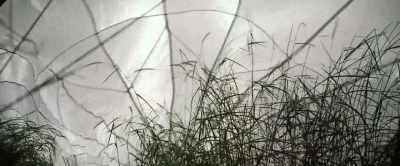 (dark ambient music) - Monsters of Man