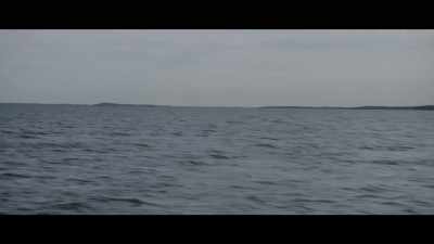 (dark music continues) - Bull Shark 3