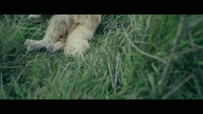 (dark music) - Invisible Monsters: Serial Killers in America