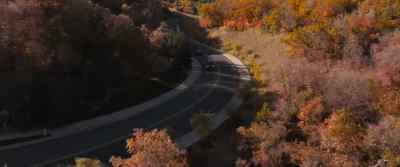 [dark, suspenseful music
playing] - Homestead