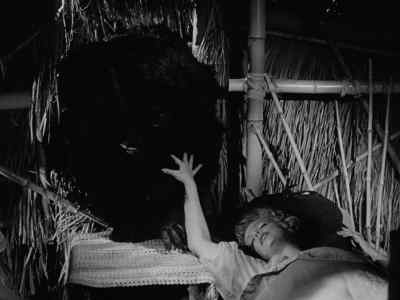 Darling, you need a shave. - Gilligan's Island