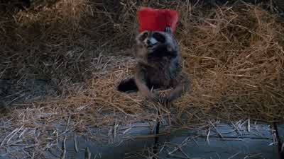 Darling, red isn't your color. - 101 Dalmatians