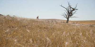 DARYL: Slow down, mate.
You're killing me! - A Sunburnt Christmas