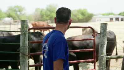 -[David] 95?
-[Shorty] The cow
says, "Sold." - Shorty's Dream Shop