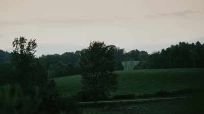 DAVID: An interesting side note to
the disappearance of Tom Messick - Missing 411: The Hunted