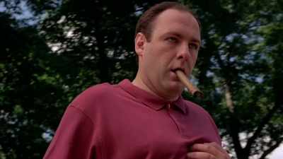 [David] And I had landed
on a desert island, - Wise Guy: David Chase and The Sopranos