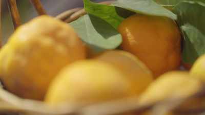 [David] And you really can't
buy bitter oranges - What Am I Eating? With Zooey Deschanel