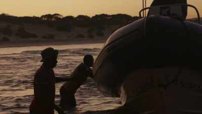 DAVID: As so often in the ocean, - Blue Planet II