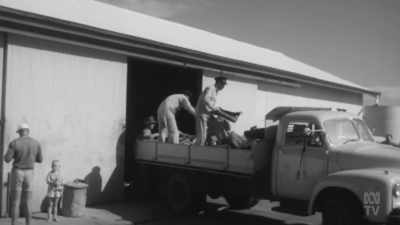 DAVID: At the inquiry
into this accident, - Aussie Inventions That Changed The World