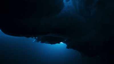 DAVID ATTENBOROUGH:
In the far north, - Blue Planet II