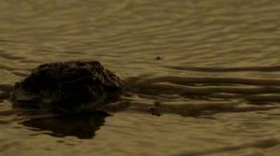 DAVID: Buried treasure
that's been sitting there, - Mars: One Day on the Red Planet