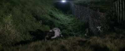 - David! David!
- Find Davey, Soda. - The Hippopotamus