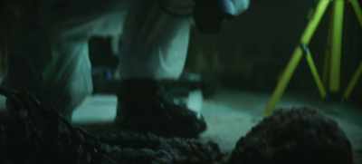 DAVID: Far from being
the hard and brittle forms - The Chemistry of Death