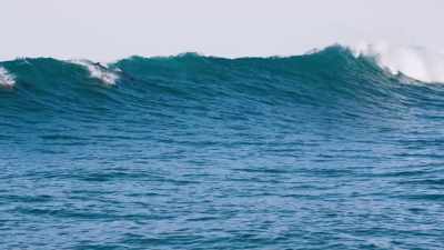 DAVID: In these waves, - Blue Planet II