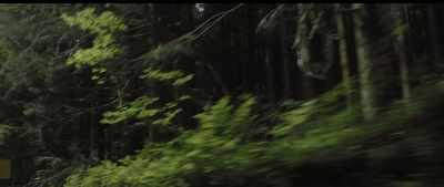 David, I've heard there are
magical creatures - Buddymoon