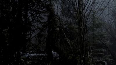 David?! - Supernatural