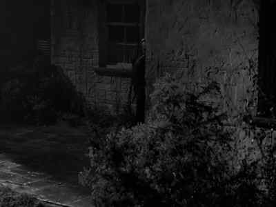 David. - The Spy in Black