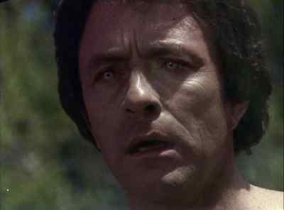 David? - The Incredible Hulk