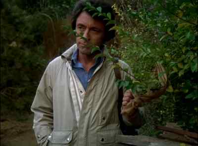 David! - The Incredible Hulk