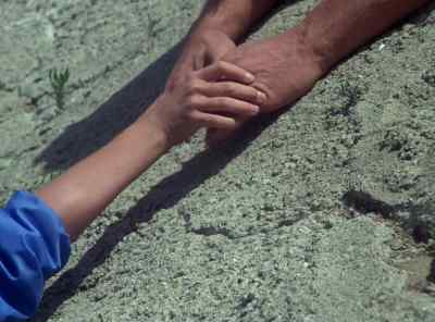 David, see if you can
find the track steward. - The Incredible Hulk