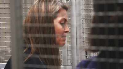 David: So, yeah, again,
it's just about letting
them come out on their terms. - Secrets of the Zoo