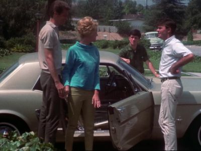 DAVID Susan Susan Turner - Equinox