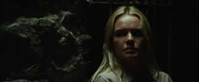 David there are five men with guns outside - Straw Dogs