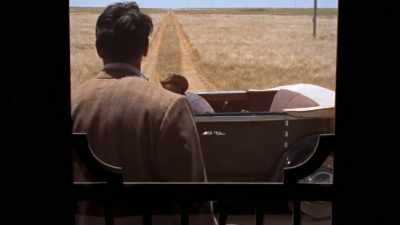 -Davis: Yeah, all right. Okay.
-(Rock laughs) - Rock Hudson: All That Heaven Allowed