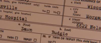 Dawn BudgieThat's a terrible fucking name - Identity Thief