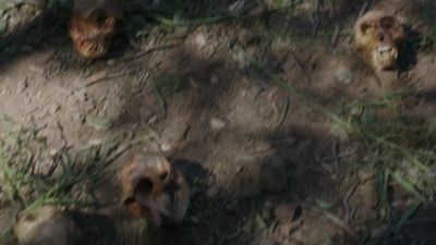 DAWSON:
Animal skulls. - NCIS