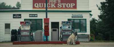Day after day passed, but no CJ. - A Dog's Journey