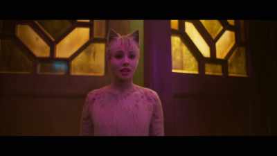 ♪ Daylight ♪ - Cats