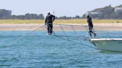 De doorbraken van Greg, Megan
en Bryan onthullen... - Return of the White Shark